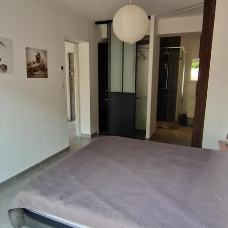 Maison Spacieuse Avec Piscine Proche De La Châtelaillon-Plage